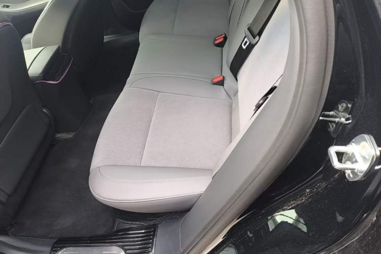 Used VOYAH PASSION 2024 PHEV Four-Wheel Drive Ultra-Long Range Flagship Model Left Rear Seat