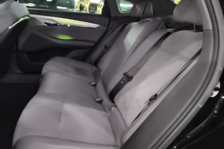 Used VOYAH PASSION 2024 PHEV Four-Wheel Drive Ultra-Long Range Flagship Model Left Rear Seat