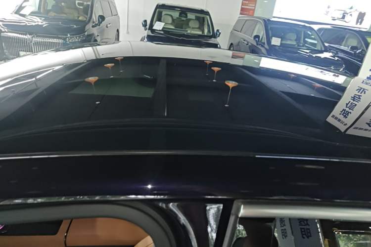 Used VOYAH PASSION 2024 PHEV Four-Wheel Drive Ultra-Long Range Flagship Model Roof
