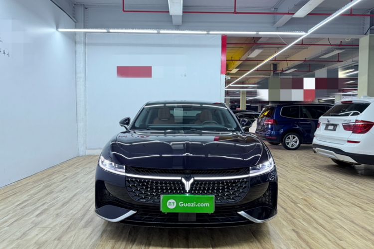 Used VOYAH PASSION 2024 PHEV Four-Wheel Drive Ultra-Long Range Flagship Model Exterior 3