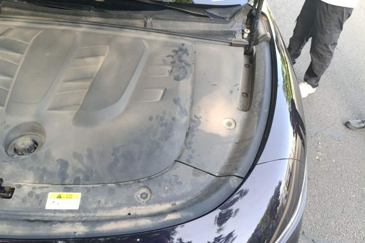 Used VOYAH PASSION 2024 PHEV Four-Wheel Drive Ultra-Long Range Executive Edition Engine Bay Left
