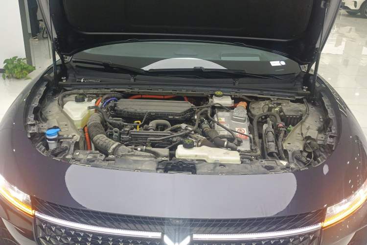 Used VOYAH PASSION 2024 PHEV Four-Wheel Drive Ultra-Long Range Flagship Model Engine Bay