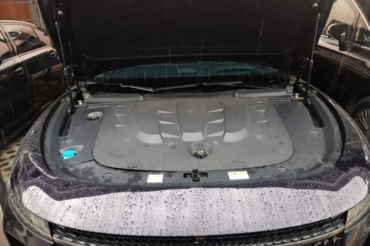 Used VOYAH PASSION 2024 PHEV Four-Wheel Drive Ultra-Long Range Flagship Model Engine Bay