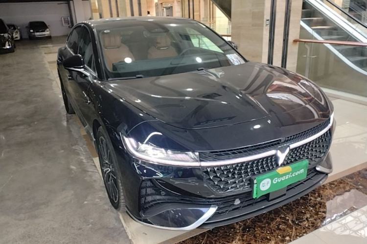 Used VOYAH PASSION 2024 PHEV Four-Wheel Drive Ultra-Long Range Flagship Model Exterior 1