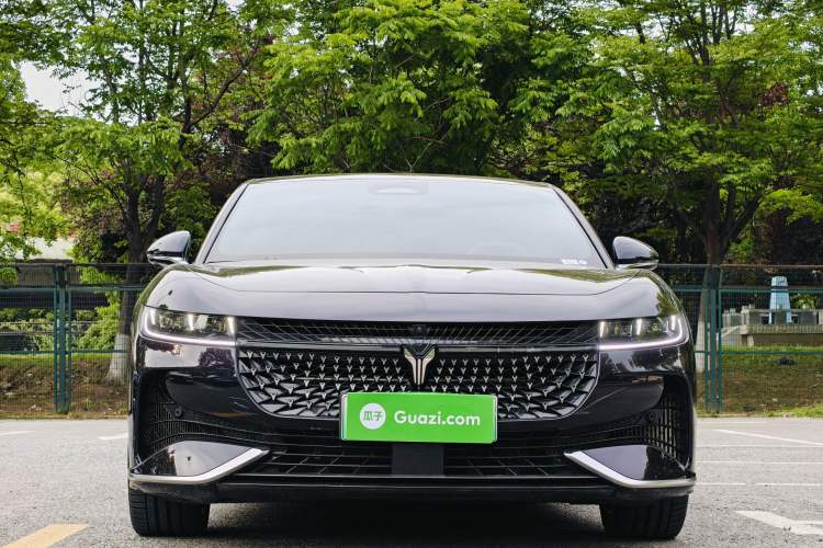 Used VOYAH PASSION 2024 PHEV Four-Wheel Drive Ultra-Long Range Flagship Model Exterior 1