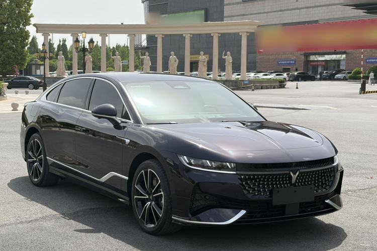 Used VOYAH PASSION 2024 PHEV Four-Wheel Drive Ultra-Long Range Flagship Model Exterior 2