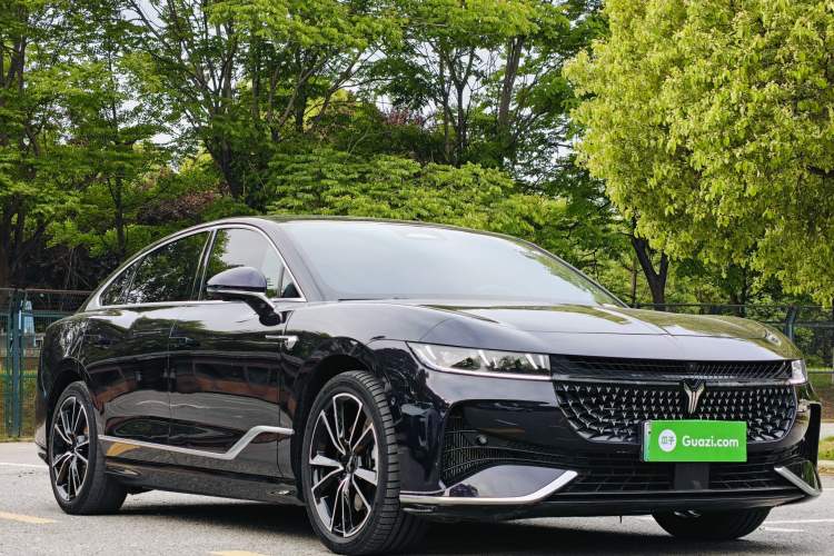 Used VOYAH PASSION 2024 PHEV Four-Wheel Drive Ultra-Long Range Flagship Model Exterior 2