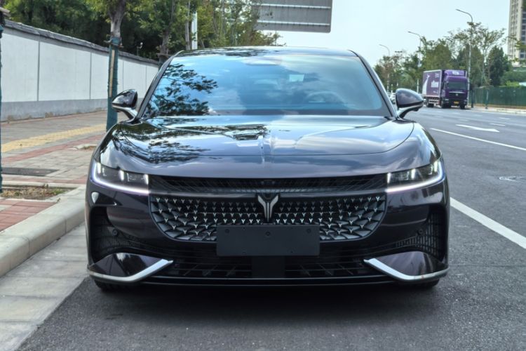 Used VOYAH PASSION 2024 PHEV Four-Wheel Drive Ultra-Long Range Flagship Model Exterior 3