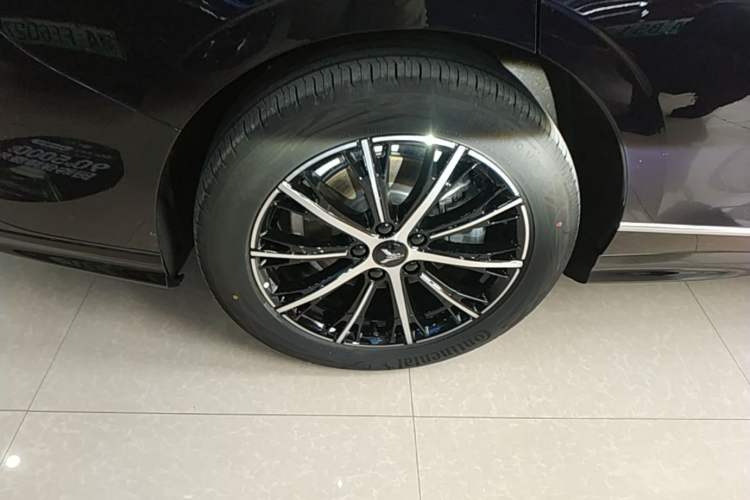 Used VOYAH PASSION 2024 PHEV Four-Wheel Drive Ultra-Long Range Executive Edition Exterior 5