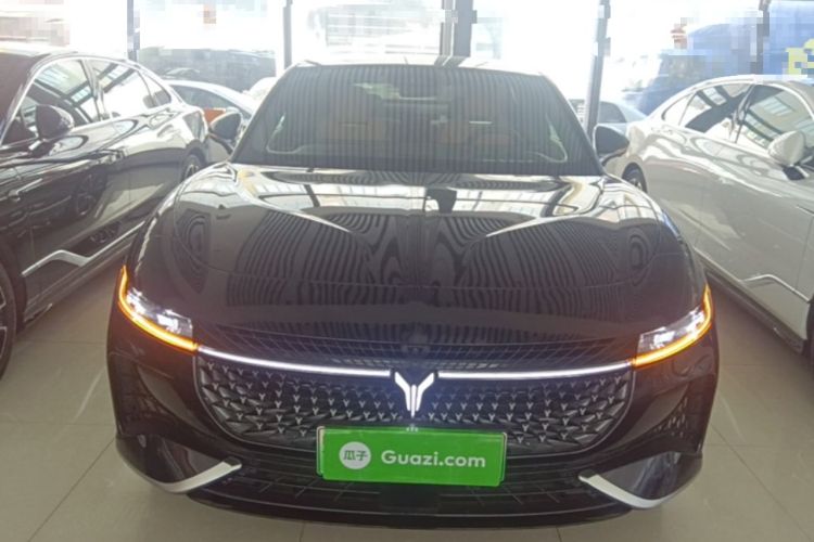 Used VOYAH PASSION 2024 PHEV Four-Wheel Drive Ultra-Long Range Flagship Model Front
