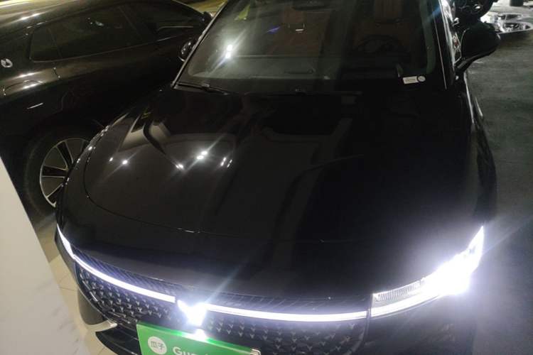 Used VOYAH PASSION 2024 PHEV Four-Wheel Drive Ultra-Long Range Flagship Model Front
