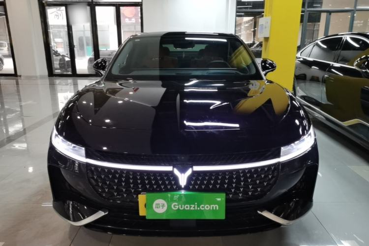 Used VOYAH PASSION 2024 PHEV Four-Wheel Drive Ultra-Long Range Flagship Model Front