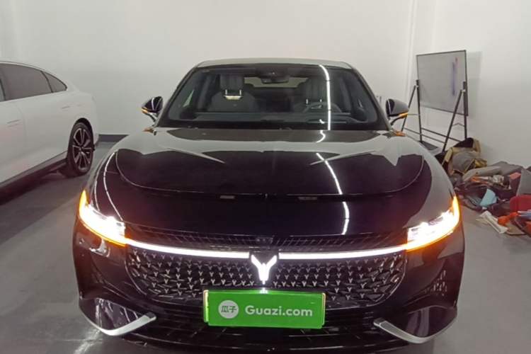 Used VOYAH PASSION 2024 PHEV Four-Wheel Drive Ultra-Long Range Flagship Model Front