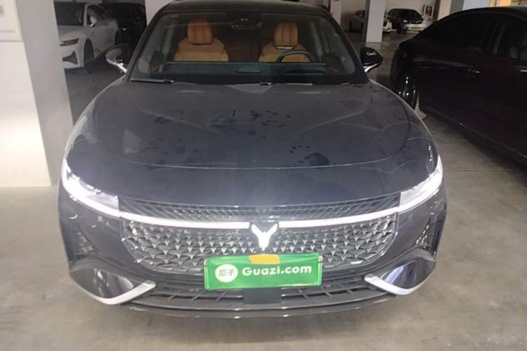 Used VOYAH PASSION 2024 PHEV Four-Wheel Drive Ultra-Long Range Flagship Model Front