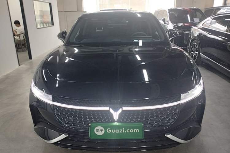 Used VOYAH PASSION 2024 PHEV Four-Wheel Drive Ultra-Long Range Flagship Model Front