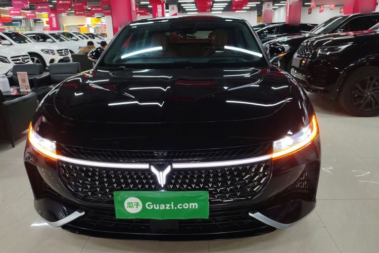 Used VOYAH PASSION 2024 PHEV Four-Wheel Drive Ultra-Long Range Flagship Model Front