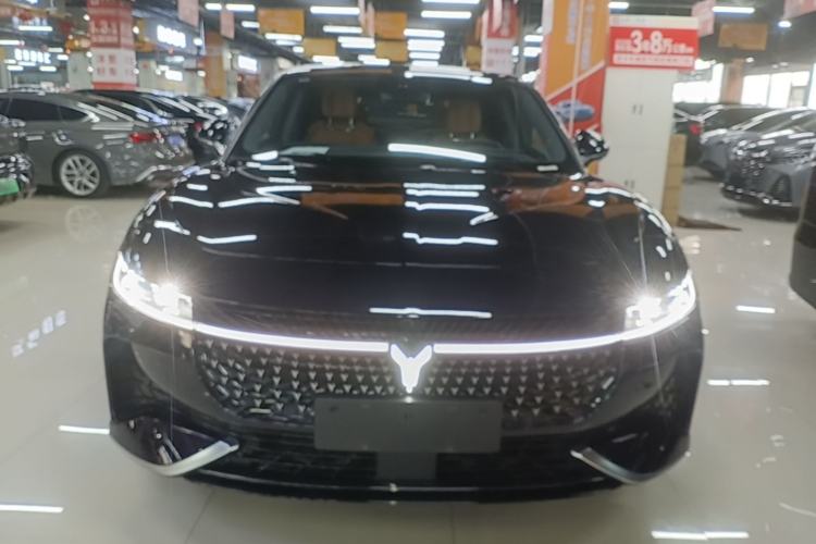 Used VOYAH PASSION 2024 PHEV Four-Wheel Drive Ultra-Long Range Flagship Model Front
