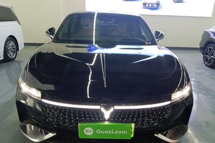 Used VOYAH PASSION 2024 PHEV Four-Wheel Drive Ultra-Long Range Flagship Model Front