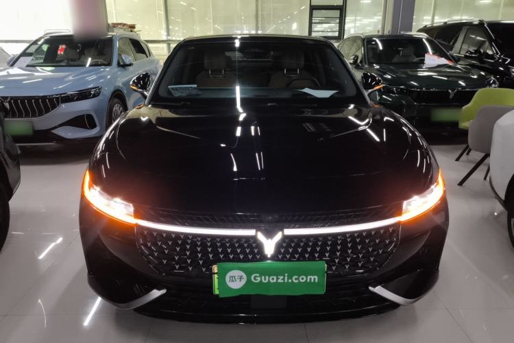 Used VOYAH PASSION 2024 PHEV Four-Wheel Drive Ultra-Long Range Flagship Model Front
