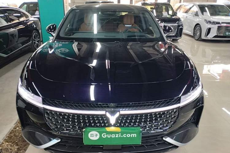 Used VOYAH PASSION 2024 PHEV Four-Wheel Drive Ultra-Long Range Flagship Model Front