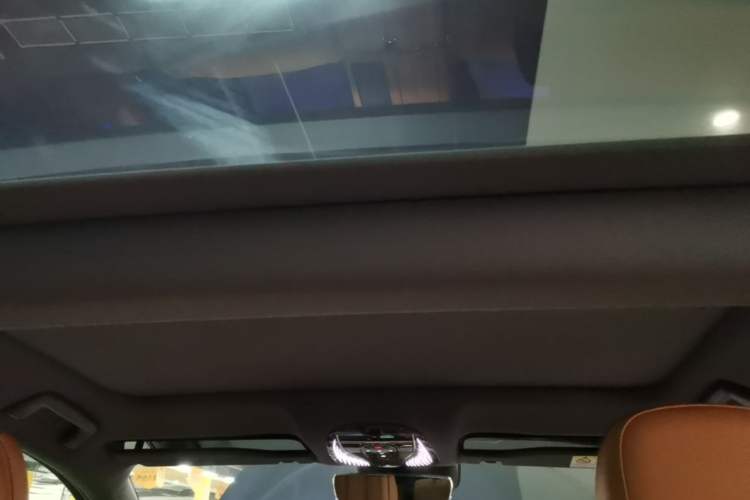 Used VOYAH PASSION 2024 PHEV Four-Wheel Drive Ultra-Long Range Flagship Model Headliner