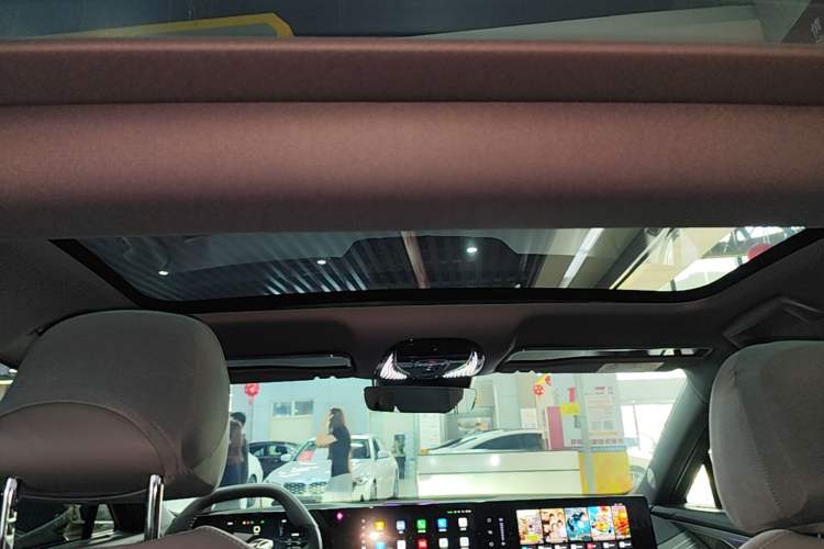 Used VOYAH PASSION 2024 PHEV Four-Wheel Drive Ultra-Long Range Flagship Model Headliner