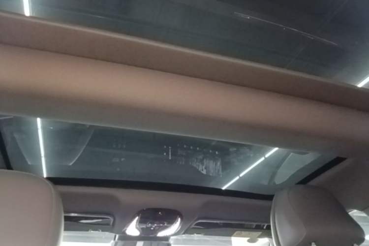 Used VOYAH PASSION 2024 PHEV Four-Wheel Drive Ultra-Long Range Flagship Model Headliner