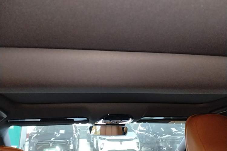 Used VOYAH PASSION 2024 PHEV Four-Wheel Drive Ultra-Long Range Flagship Model Headliner