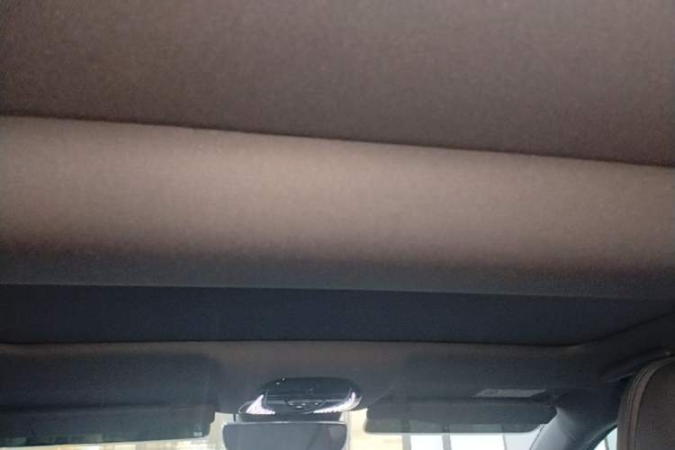 Used VOYAH PASSION 2024 PHEV Four-Wheel Drive Ultra-Long Range Flagship Model Headliner