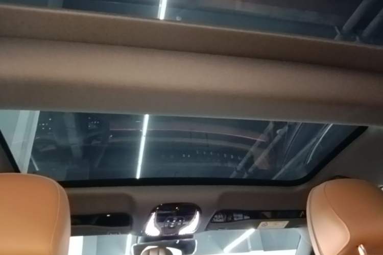 Used VOYAH PASSION 2024 PHEV Four-Wheel Drive Ultra-Long Range Flagship Model Headliner