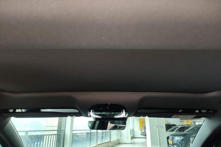 Used VOYAH PASSION 2024 PHEV Four-Wheel Drive Ultra-Long Range Flagship Model Headliner