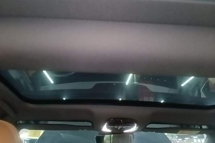 Used VOYAH PASSION 2024 PHEV Four-Wheel Drive Ultra-Long Range Flagship Model Headliner