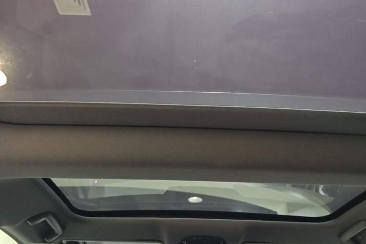 Used VOYAH PASSION 2024 PHEV Four-Wheel Drive Ultra-Long Range Executive Edition Headliner