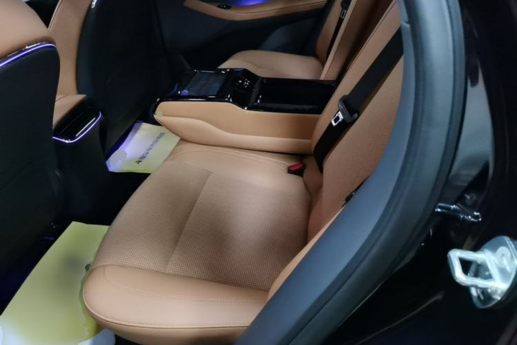 Used VOYAH PASSION 2024 PHEV Four-Wheel Drive Ultra-Long Range Flagship Model Left Rear Seat