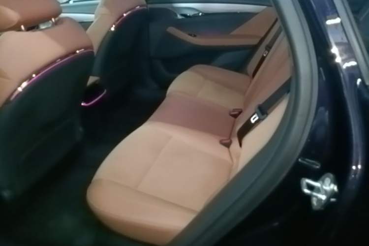 Used VOYAH PASSION 2024 PHEV Four-Wheel Drive Ultra-Long Range Flagship Model Left Rear Seat