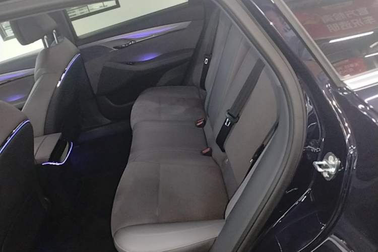 Used VOYAH PASSION 2024 PHEV Four-Wheel Drive Ultra-Long Range Flagship Model Left Rear Seat