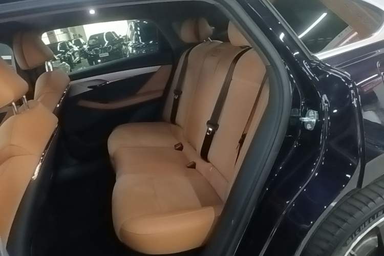 Used VOYAH PASSION 2024 PHEV Four-Wheel Drive Ultra-Long Range Flagship Model Left Rear Seat