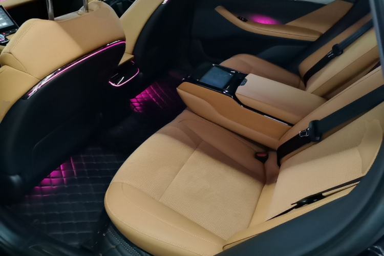 Used VOYAH PASSION 2024 PHEV Four-Wheel Drive Ultra-Long Range Flagship Model Left Rear Seat