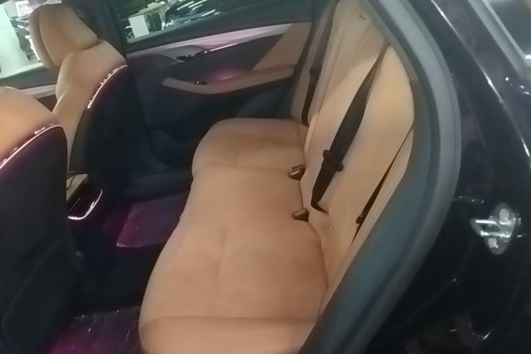 Used VOYAH PASSION 2024 PHEV Four-Wheel Drive Ultra-Long Range Flagship Model Left Rear Seat