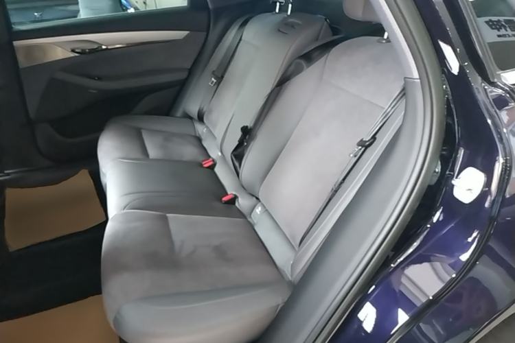 Used VOYAH PASSION 2024 PHEV Four-Wheel Drive Ultra-Long Range Executive Edition Left Rear Seat