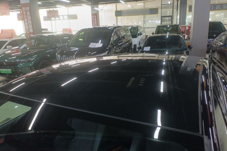 Used VOYAH PASSION 2024 PHEV Four-Wheel Drive Ultra-Long Range Flagship Model Roof