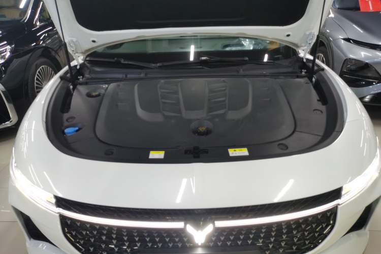 Used VOYAH PASSION 2024 PHEV Four-Wheel Drive Ultra-Long Range Executive Edition Engine Bay