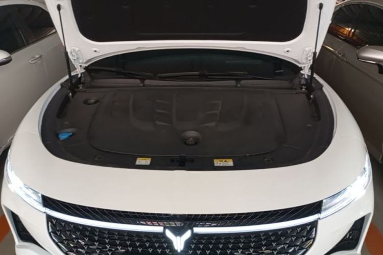 Used VOYAH PASSION 2024 PHEV Four-Wheel Drive Ultra-Long Range Flagship Model Engine Bay