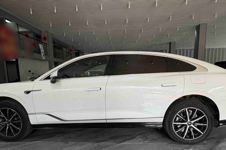 Used VOYAH PASSION 2024 PHEV Four-Wheel Drive Ultra-Long Range Flagship Model Exterior 10