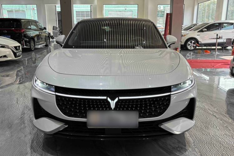 Used VOYAH PASSION 2024 PHEV Four-Wheel Drive Ultra-Long Range Flagship Model Exterior 12