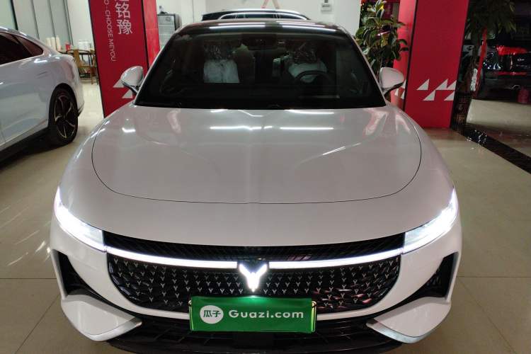 Used VOYAH PASSION 2024 PHEV Four-Wheel Drive Ultra-Long Range Executive Edition Front