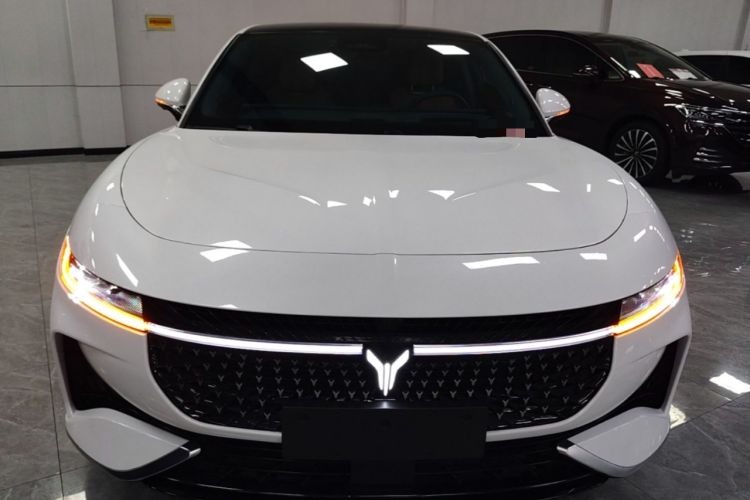 Used VOYAH PASSION 2024 PHEV Four-Wheel Drive Ultra-Long Range Flagship Model Front
