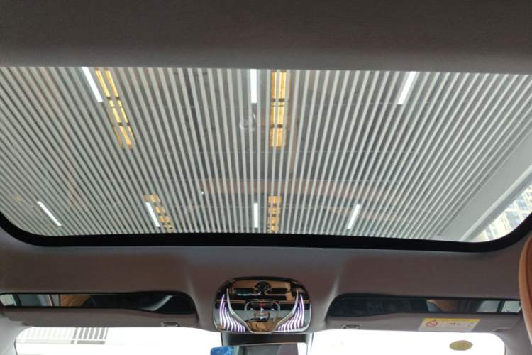 Used VOYAH PASSION 2024 PHEV Four-Wheel Drive Ultra-Long Range Executive Edition Headliner