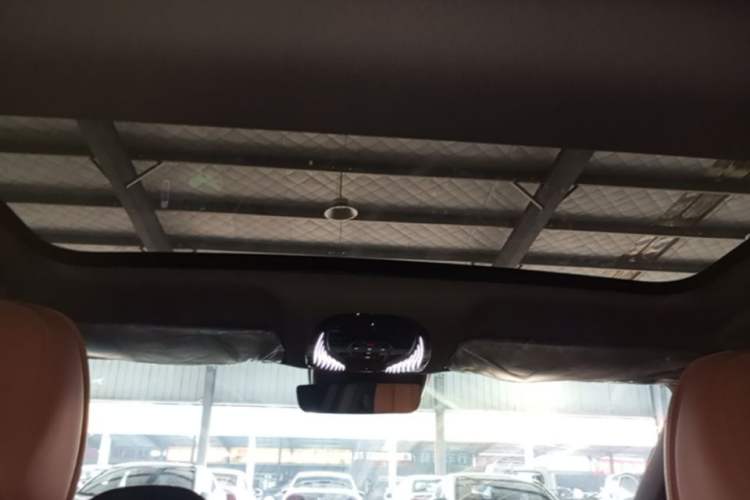 Used VOYAH PASSION 2024 PHEV Four-Wheel Drive Ultra-Long Range Flagship Model Headliner