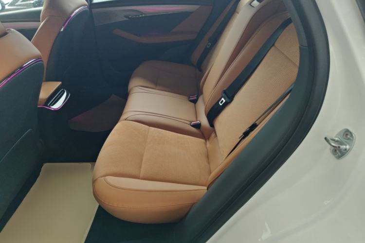 Used VOYAH PASSION 2024 PHEV Four-Wheel Drive Ultra-Long Range Executive Edition Left Rear Seat